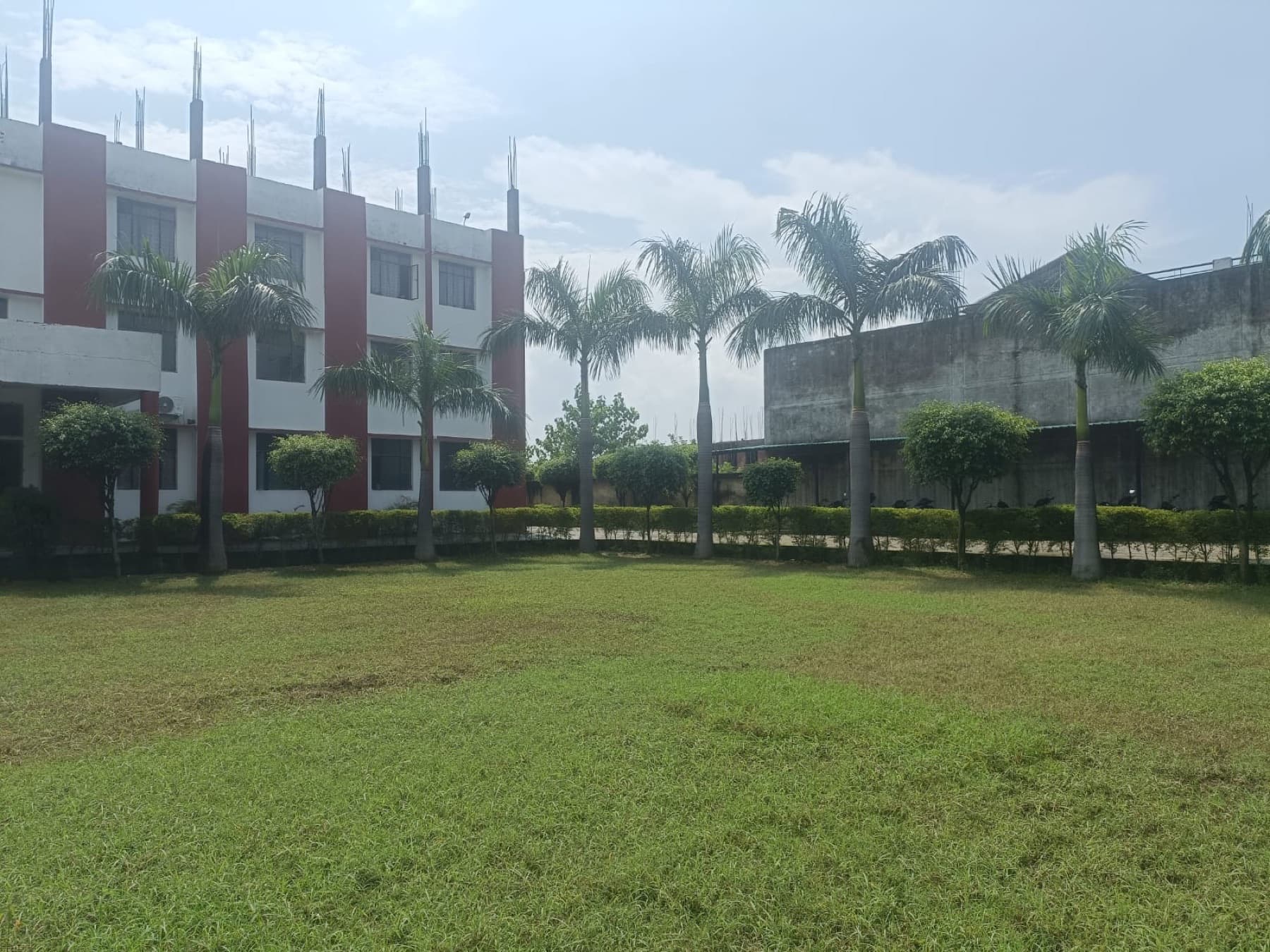 College lawn and palm trees